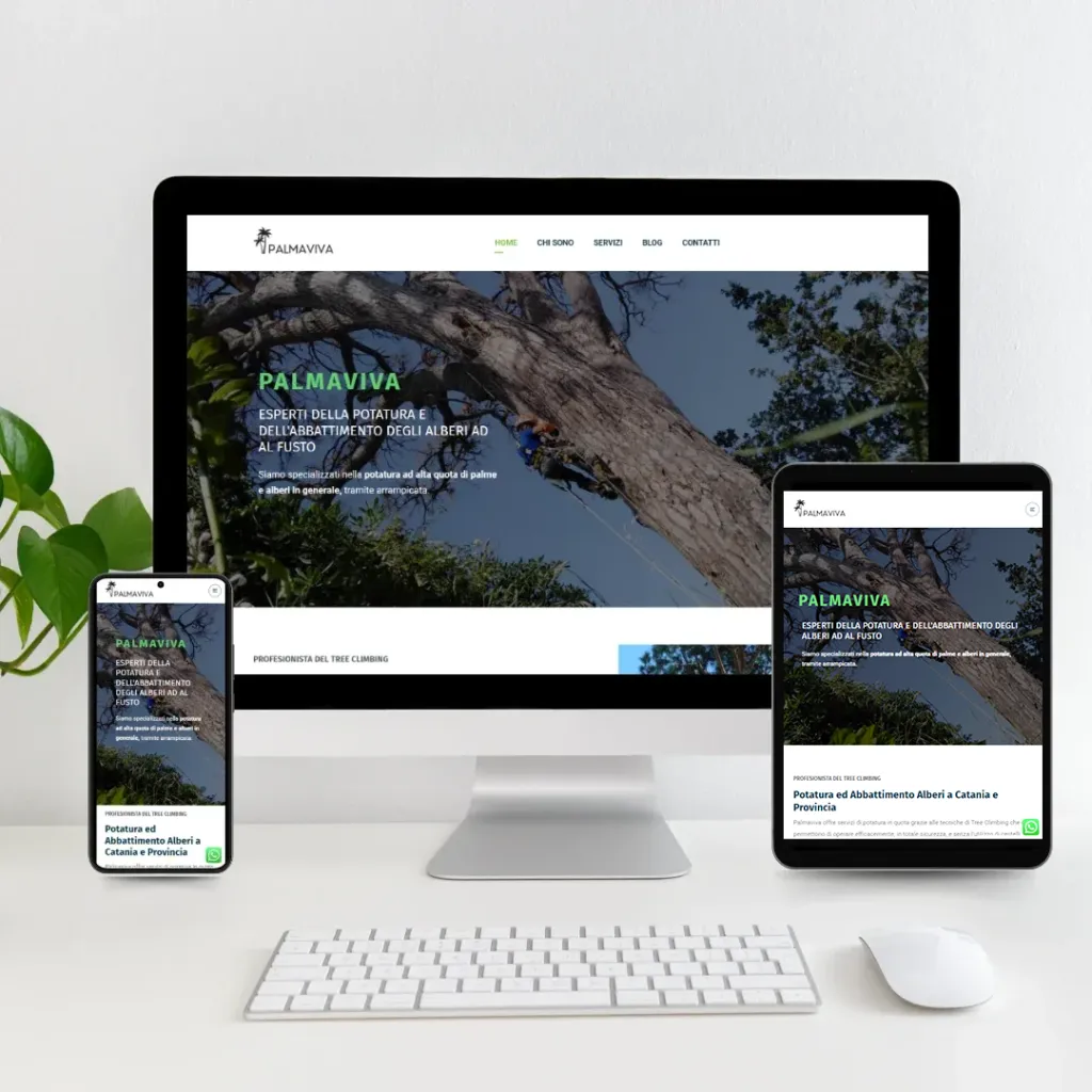 Ottimizzazione SEO siti web: caso studio Palmaviva.it